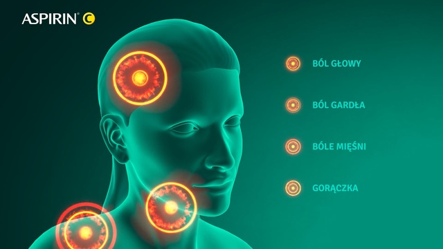 Video Reference: Head, Organism, Fictional character, Screenshot, Person