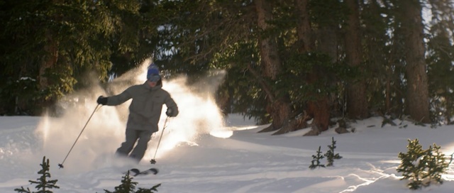 Video Reference: footwear, snow, winter, tree, skiing, winter sport, geological phenomenon, ski equipment, path, snowboarding