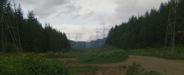 Video Reference: nature, wilderness, ecosystem, highland, nature reserve, sky, hill station, tree, mountain, forest