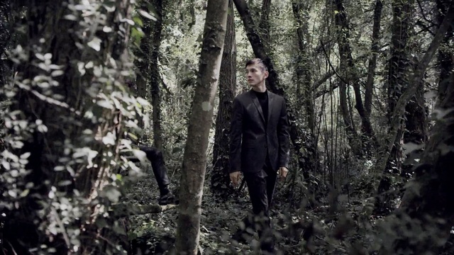 Video Reference: People in nature, Forest, Nature, Black, Photograph, Tree, Natural environment, Woodland, Old-growth forest, Jungle, Person