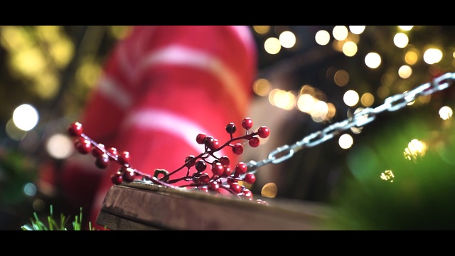 Video Reference: Nature, Red, Macro photography, Spring, Plant, Flower, Tree, Font, Love, Photography