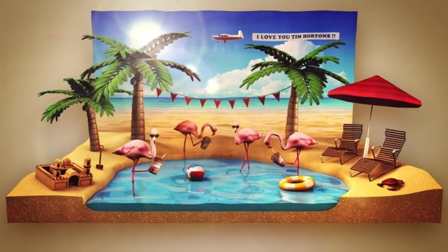 Video Reference: Product, Palm tree, Vacation, Arecales, Fun, Tree, Leisure, Room, Plant, Tropics