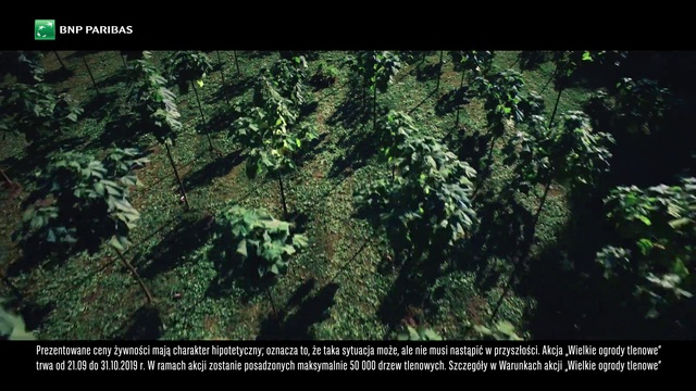 Video Reference: Vegetation, Nature, Tree, Forest, Natural environment, Jungle, Rainforest, Tropical and subtropical coniferous forests, Biome, Organism