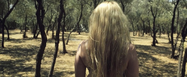 Video Reference: tree, woody plant, girl, sunlight, grass, forest, plant, long hair, grass family, woodland