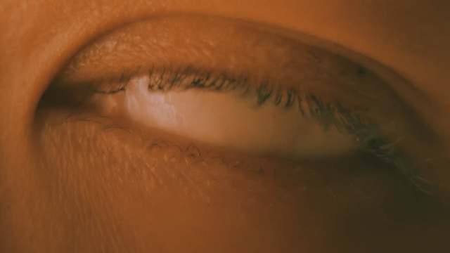Video Reference: eyebrow, eye, eyelash, lip, close up, macro photography, forehead, chin, cheek, mouth