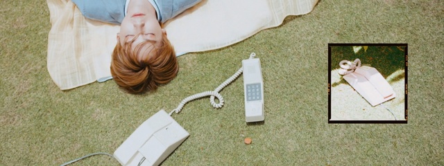 Video Reference: photograph, grass, Person