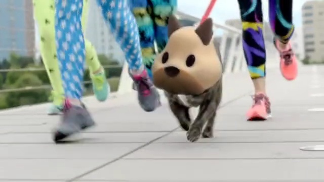 Video Reference: mammal, dog like mammal, vertebrate, dog, play, dog breed group, snout, dog breed, product, carnivoran
