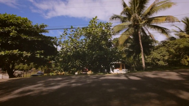 Video Reference: Tree, Property, Vegetation, Daytime, Sky, Residential area, Road, Palm tree, Asphalt, Arecales