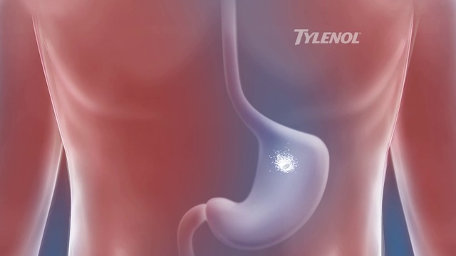 Video Reference: Skin, Joint, Pink, Material property, Leg, Neck, Knee, Flesh, Human leg, Stomach