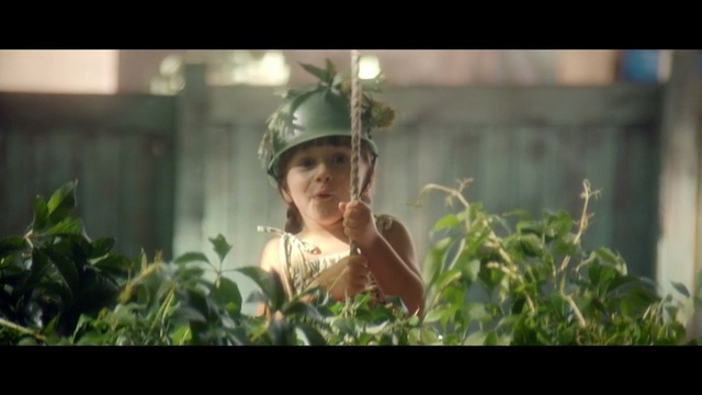 Video Reference: Leaf, Sunlight, Plant, Fun, Organism, Tree, Adaptation, Photography, Headgear, Landscape