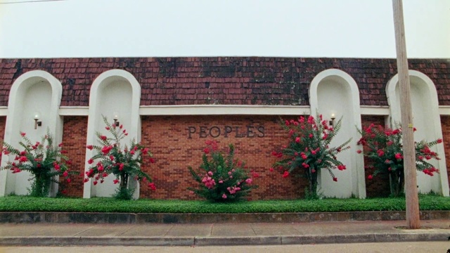 Video Reference: Flower, Plant, Property, Window, Architecture, Vegetation, Door, Building, Brick, Petal