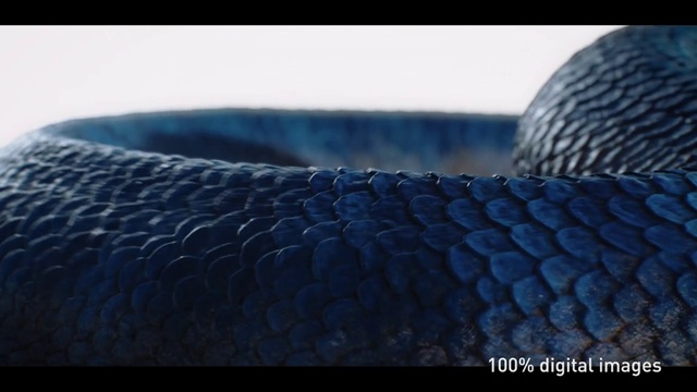 Video Reference: Blue, Cobalt blue, Azure, Electric blue, Close-up, Tire, Photography, Macro photography, Stock photography