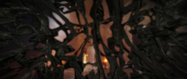 Video Reference: Branch, Lighting, Darkness, Sky, Tree, Twig, Plant, Heat, Fire, Flame, Indoor, Sitting, Table, Laying, White, Lying, Black, Room, Food, Wooden, Sleeping, Dog, Laptop, Cat, Bed, Living, Bear, Night, Candle, Beverage