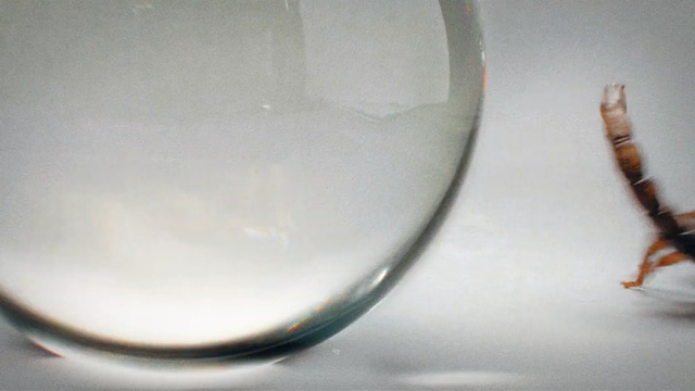 Video Reference: Glass, Tableware, Glasses, Transparent material, Drinkware, Bowl, Serveware, Metal