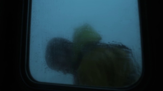 Video Reference: Underwater, Organism, Screen