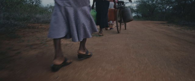 Video Reference: Footwear, Leg, Shoe, Walking, Tree, Dress, Wood, Human leg, Asphalt, Flooring