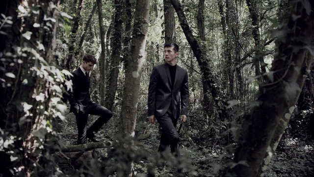 Video Reference: People in nature, Tree, Natural environment, Forest, Old-growth forest, Woodland, Jungle, Woody plant, Photography, Plant, Person