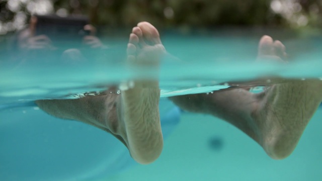 Video Reference: Water, Organism, Fun, Underwater, Marine mammal, Vacation, Marine biology, Wildlife, Leisure, Dolphin