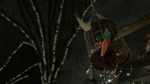 Video Reference: darkness, night, event