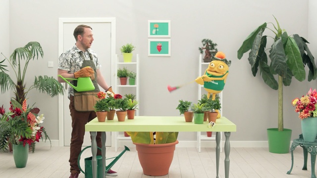 Video Reference: green, plant, flowerpot, flower, floristry, furniture, table, houseplant, floral design, flower arranging, Person