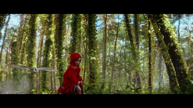 Video Reference: Forest, People in nature, Woodland, Nature, Tree, Natural environment, Old-growth forest, Jungle, Wilderness, Biome, Person