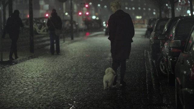Video Reference: mammal, vertebrate, night, darkness, snapshot, street, atmosphere, crowd, evening, rain, Person