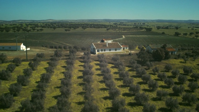 Video Reference: field, agriculture, farm, rural area, plain, sky, grassland, tree, land lot, biome