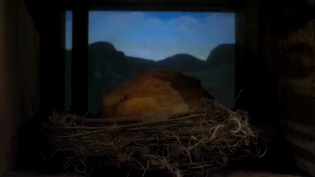 Video Reference: heat