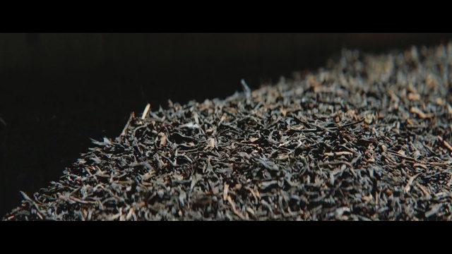 Video Reference: Plant, Parsley family