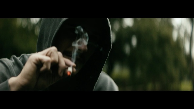 Video Reference: mammal, vertebrate, screenshot, tree, human, darkness, girl, grass, fun