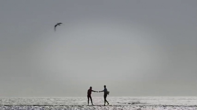 Video Reference: Horizon, Sky, Sea, Fun, Kite sports, Shore, Beach, Wave, Kitesurfing, Ocean