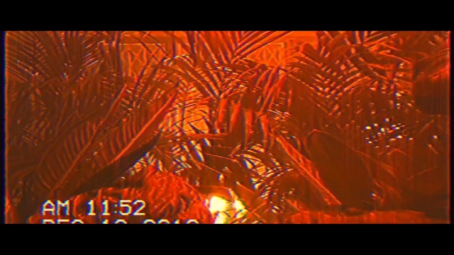 Video Reference: red, orange, geological phenomenon, light, organism, art, computer wallpaper, modern art, screenshot, graphics