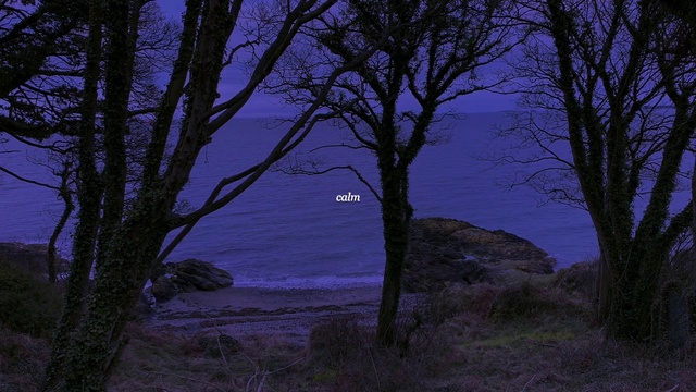 Video Reference: Tree, Nature, Sky, Blue, Branch, Purple, Natural landscape, Natural environment, Woody plant, Night