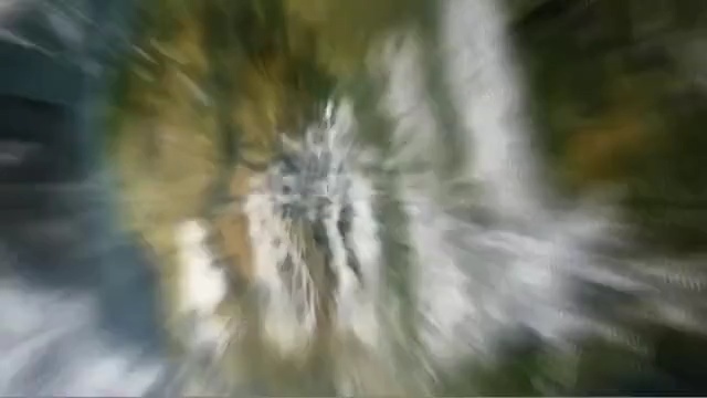 Video Reference: close up, branch, tree, sky, grass, plant, sunlight, grass family, organism, computer wallpaper, Person