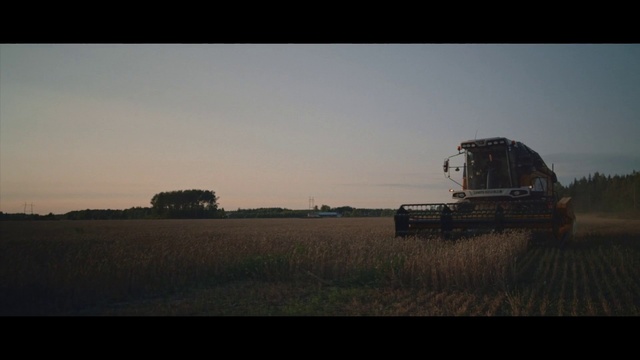 Video Reference: Sky, Field, Atmospheric phenomenon, Farm, Morning, Grass family, Rural area, Horizon, Cloud, Landscape