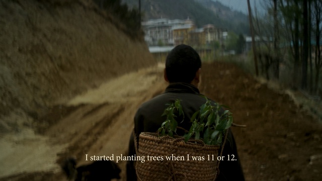 Video Reference: tree, screenshot, plant, grass, soil, grass family, landscape, Person