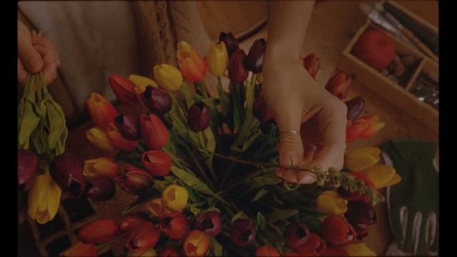 Video Reference: Floral design, Flower Arranging, Floristry, Flower, Painting, Bouquet, Still life, Still life photography, Plant, Art