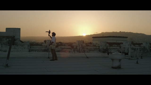 Video Reference: Sky, Morning, Evening, Photography, Horizon, Tree, Sunset, Sunrise, Landscape, Screenshot