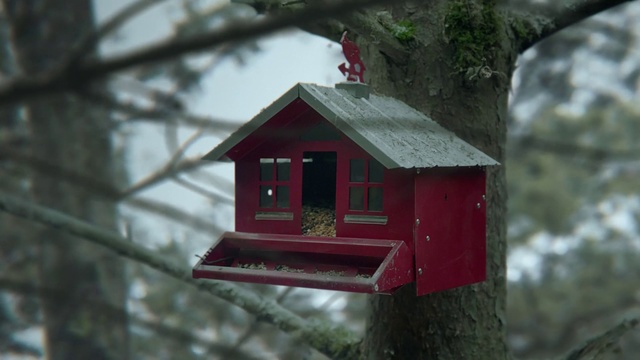 Video Reference: Bird feeder, Birdhouse, Birdhouse, House