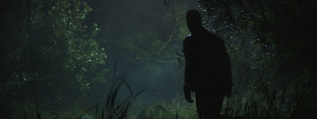 Video Reference: green, nature, ecosystem, tree, forest, darkness, light, atmosphere, grass, woodland