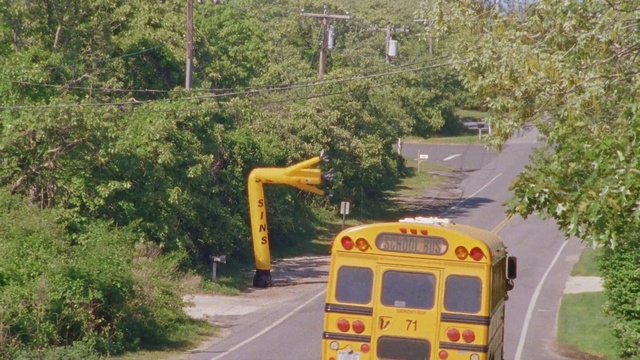 Video Reference: road, transport, lane, vehicle, mode of transport, motor vehicle, tree, plant, thoroughfare, car