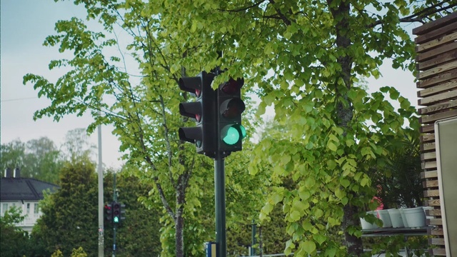 Video Reference: Traffic light, Tree, Sky, signaling device, Pole, Public utility, Gas, Street light, Road, Electric blue