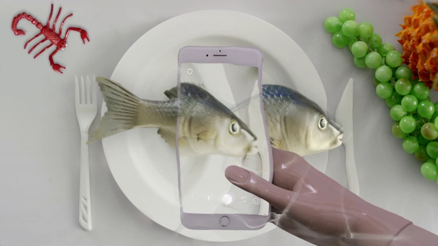 Video Reference: Fish, Fish, Platter