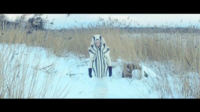 Video Reference: winter, ecosystem, freezing, tree, grass family, frost, sky, snow, grass, ice