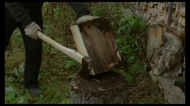 Video Reference: Tree, Axe, Tree stump, Trunk, Woody plant, Plant, Wood, Tool, Soil, Woodland