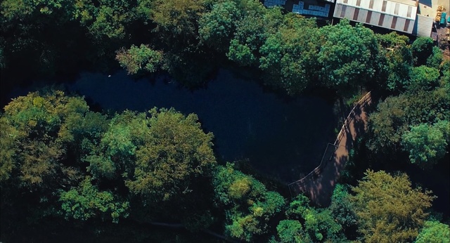 Video Reference: nature, water, vegetation, nature reserve, tree, biome, river, water resources, watercourse, forest, Person