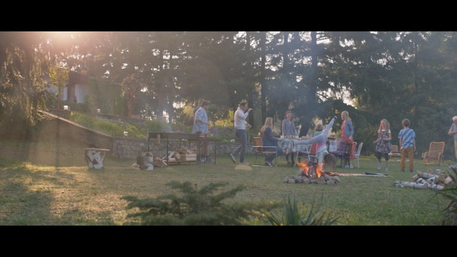 Video Reference: Nature, Light, Screenshot, Sunlight, Morning, Tree, Grass, Atmosphere, Photography, Landscape