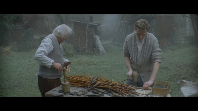 Video Reference: Adaptation, Plant