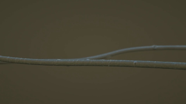 Video Reference: macro photography, close up, wire, line