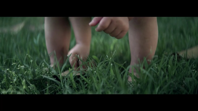 Video Reference: green, grass, nature, ecosystem, plant, grass family, foot, meadow, girl, hand
